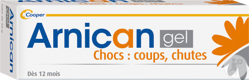 Arnican Gel A Base D'Arnica Tube 50g