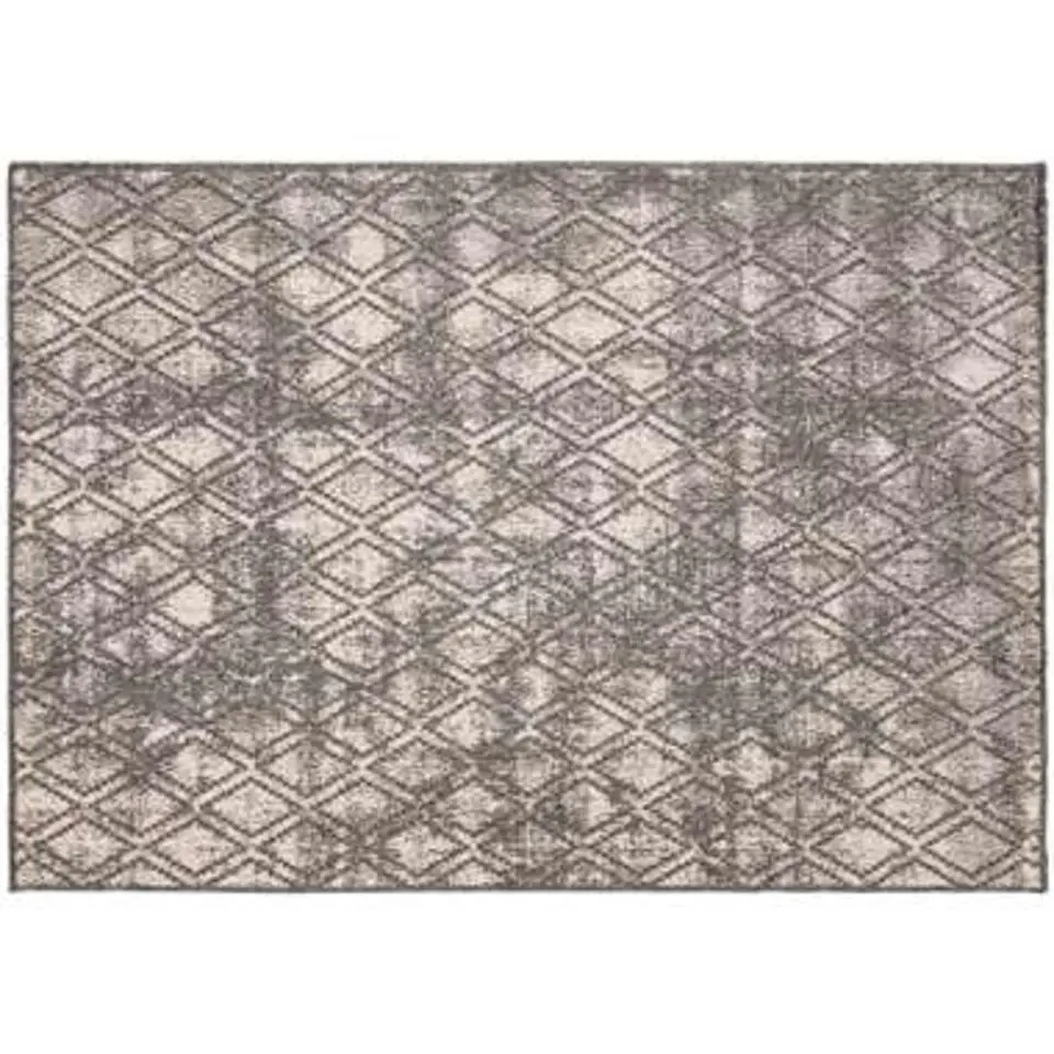 Eva Interior Buiten vloerkleed - Frost - Grijs/Wit- 200x290 cm