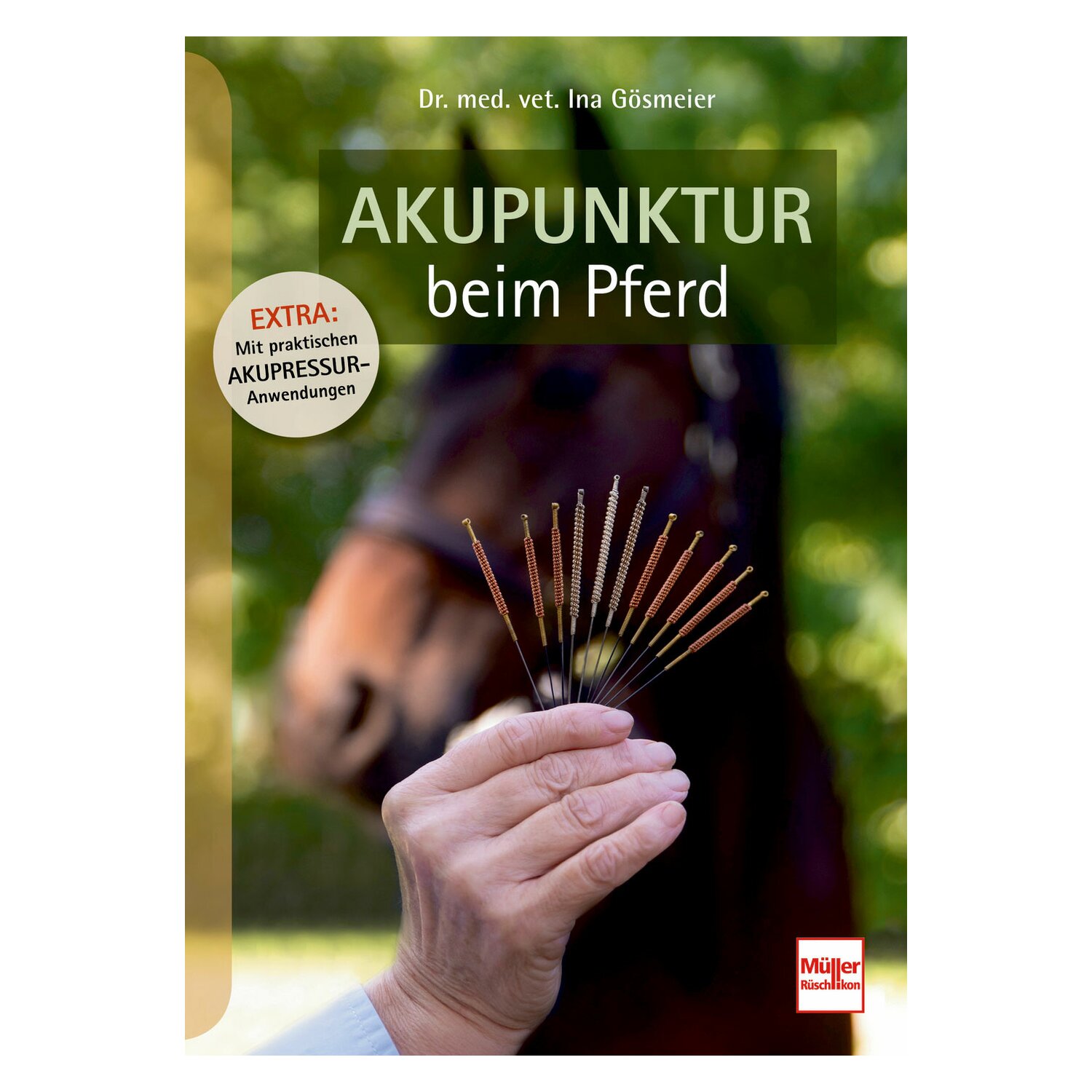 Akupunktur beim Pferd
