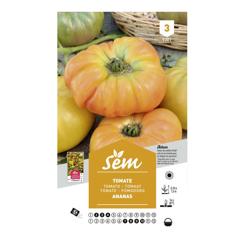Graines potagères tomate ananas