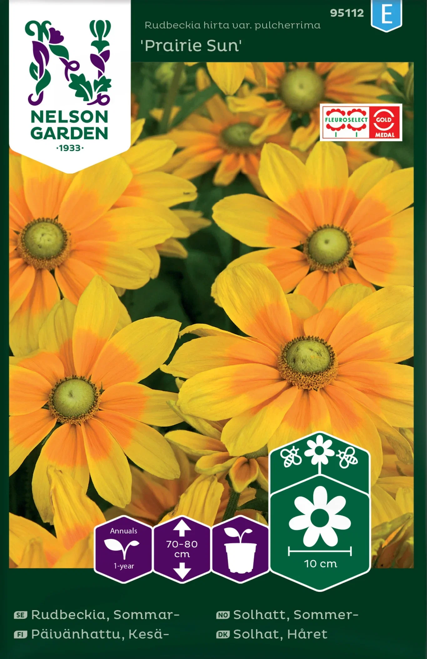 Rudbeckia hirta var. pulcherrima Sommersolhatt 'Praire Sun'