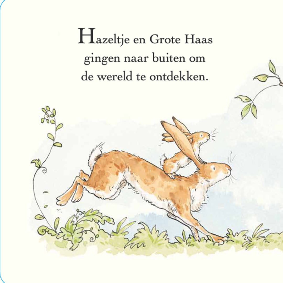 uitgeverij lemniscaat raad eens - ik zie mij!