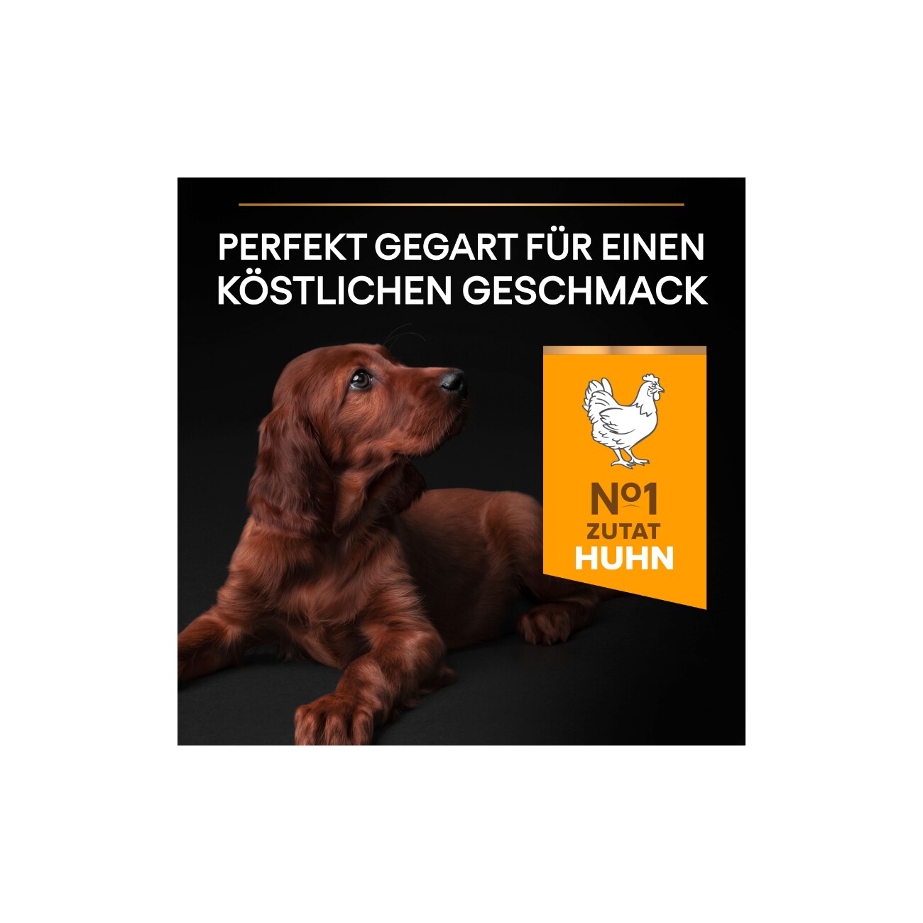 PRO PLAN Puppy Large Athletic Healthy Start Huhn 12 kg