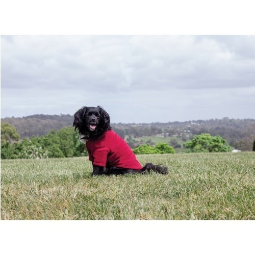 Suéter de lã polar Weatherbeeta Comfitec para cães, cor bordô