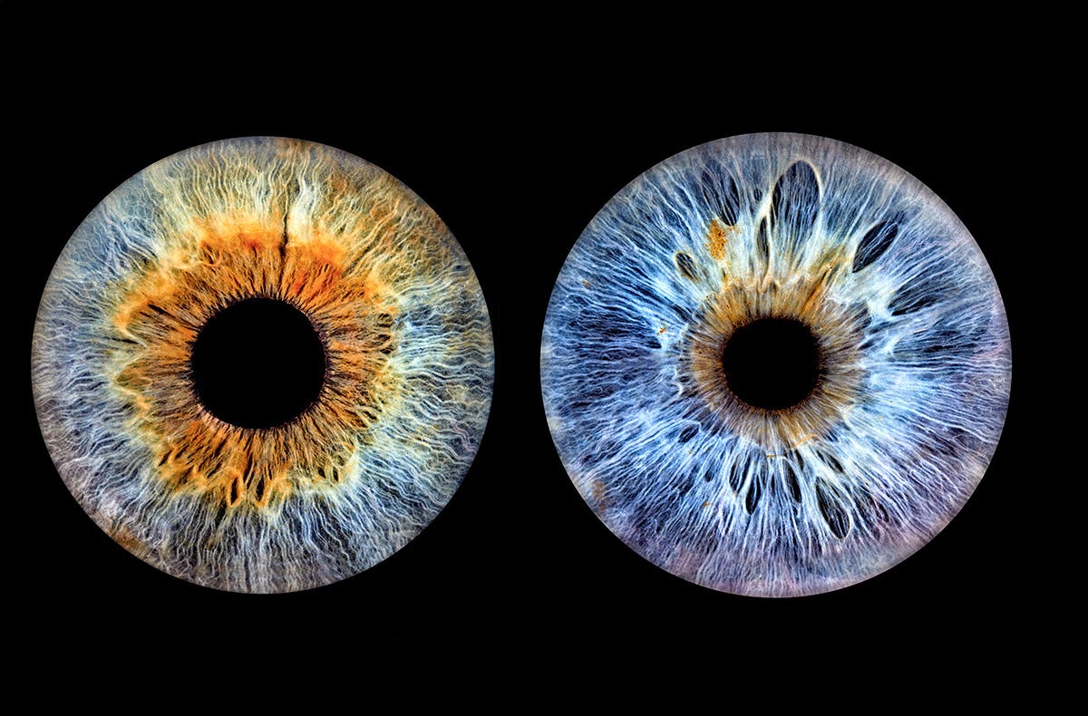 Iris Fotografie für 2 Haßfurt