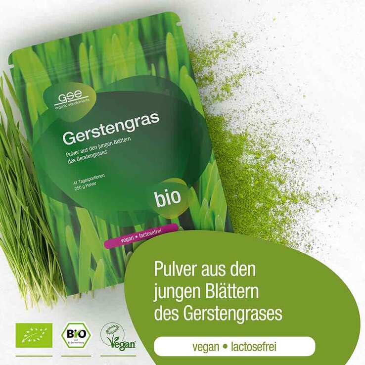 Gerstengras Bio Pulver, 250 g
