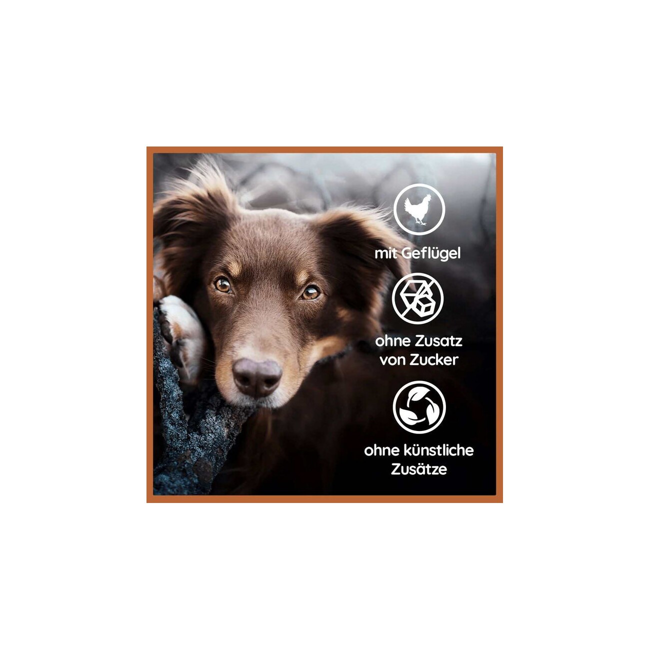 Wildfang ® Käse Snacks - Mix Softies, Harties und Brocken - getreidefrei