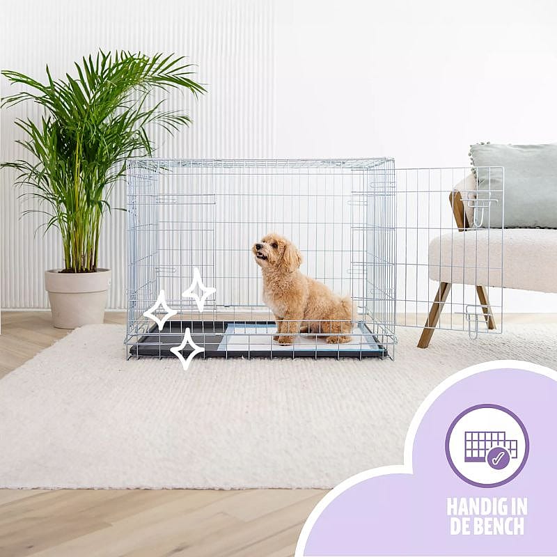 EasyPets Puppy Training Pads 58 x 58 cm Puppy | 105 stuks | 20041.1