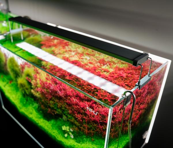 Chihiros Aquariumbeleuchtung LED-System B