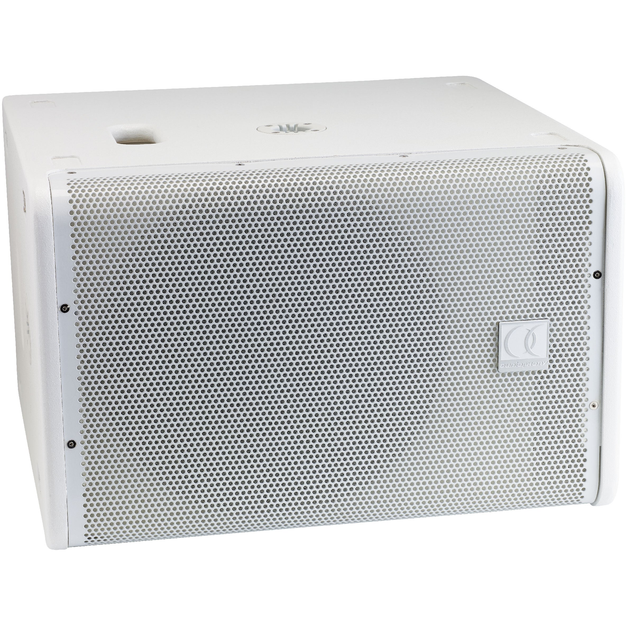 Audiophony iLINESUB12Pw passieve subwoofer