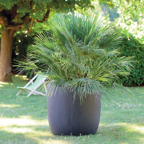 Pot œuf, gris anthracite Ø 51 x H. 50 cm