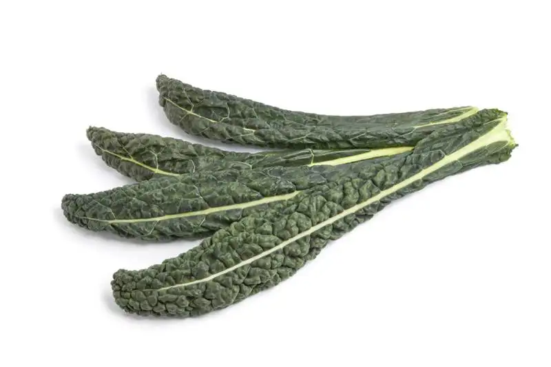 Cavolo nero (palmkool)