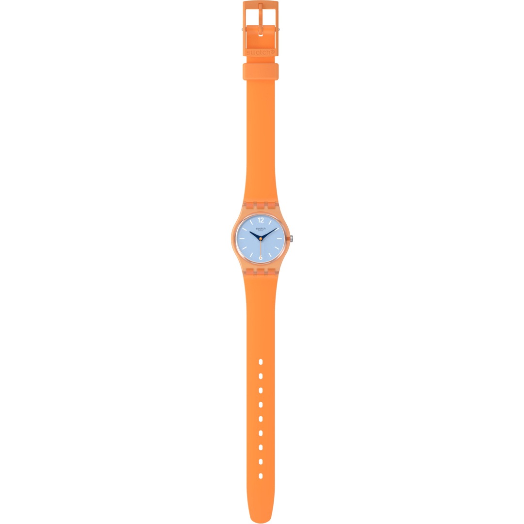 Swatch Original 25 View from a Mesa