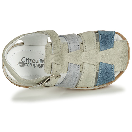 Citrouille et Compagnie - ZIDOU - Gris