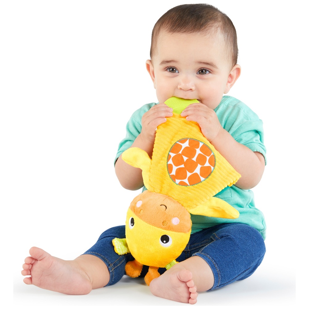 Bright Starts Snuggle & Teethe Plüsch-Beißring-Sortiment