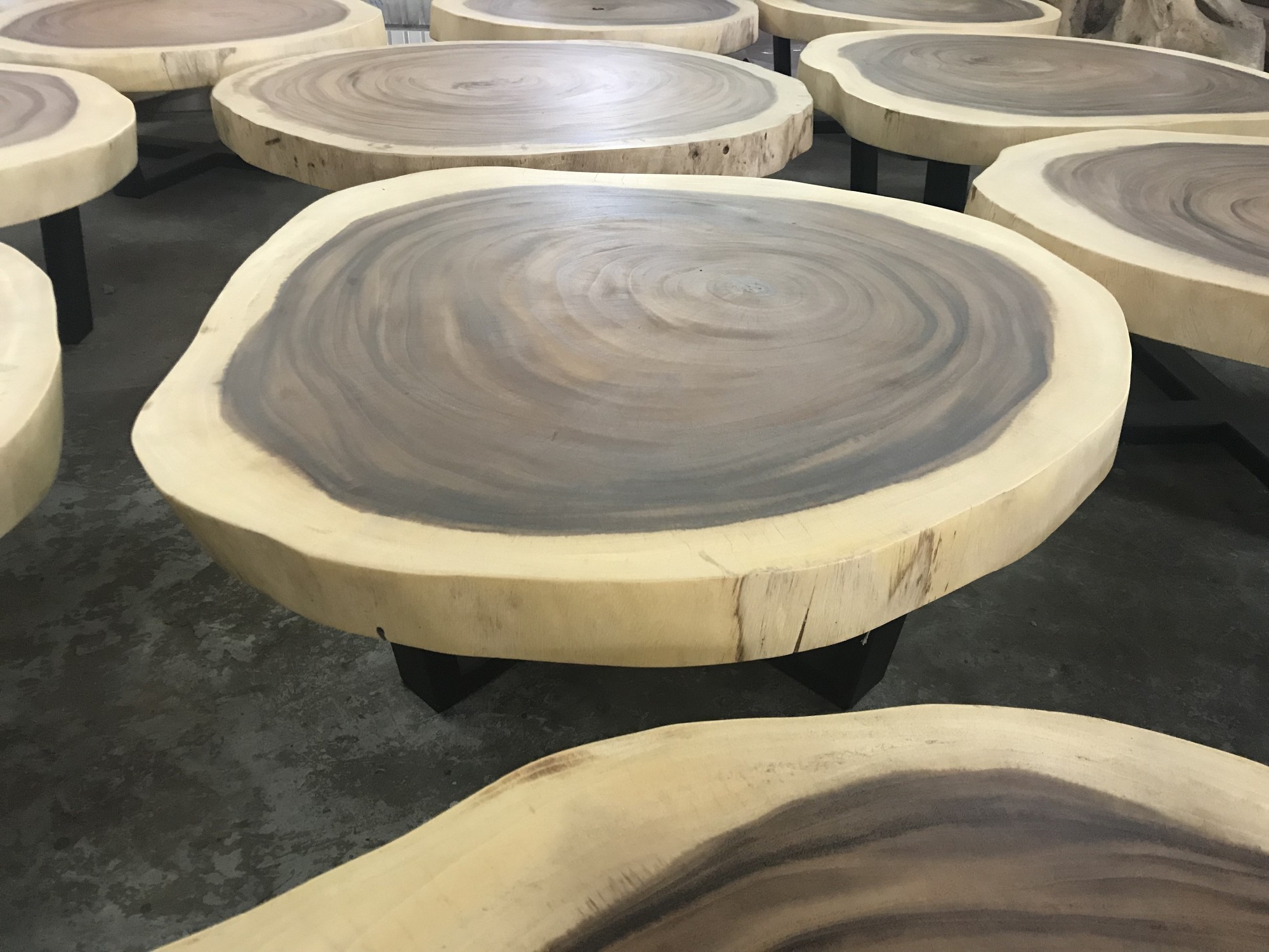 Baumscheiben-Couchtisch, Ø ca. 100 cm, H 37 cm von fischer's lagerhaus