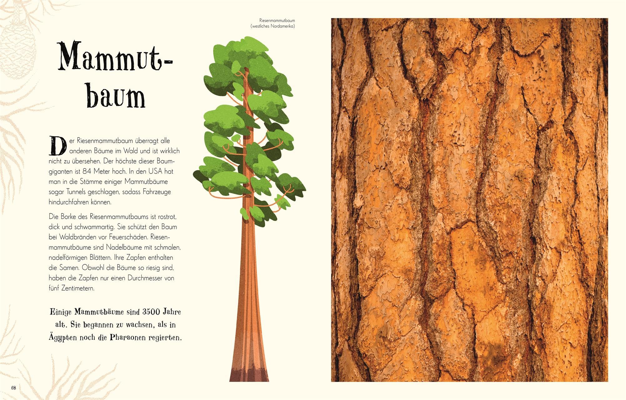 Wundervolle Welt der Natur / Wundervolle Welt Bd.2