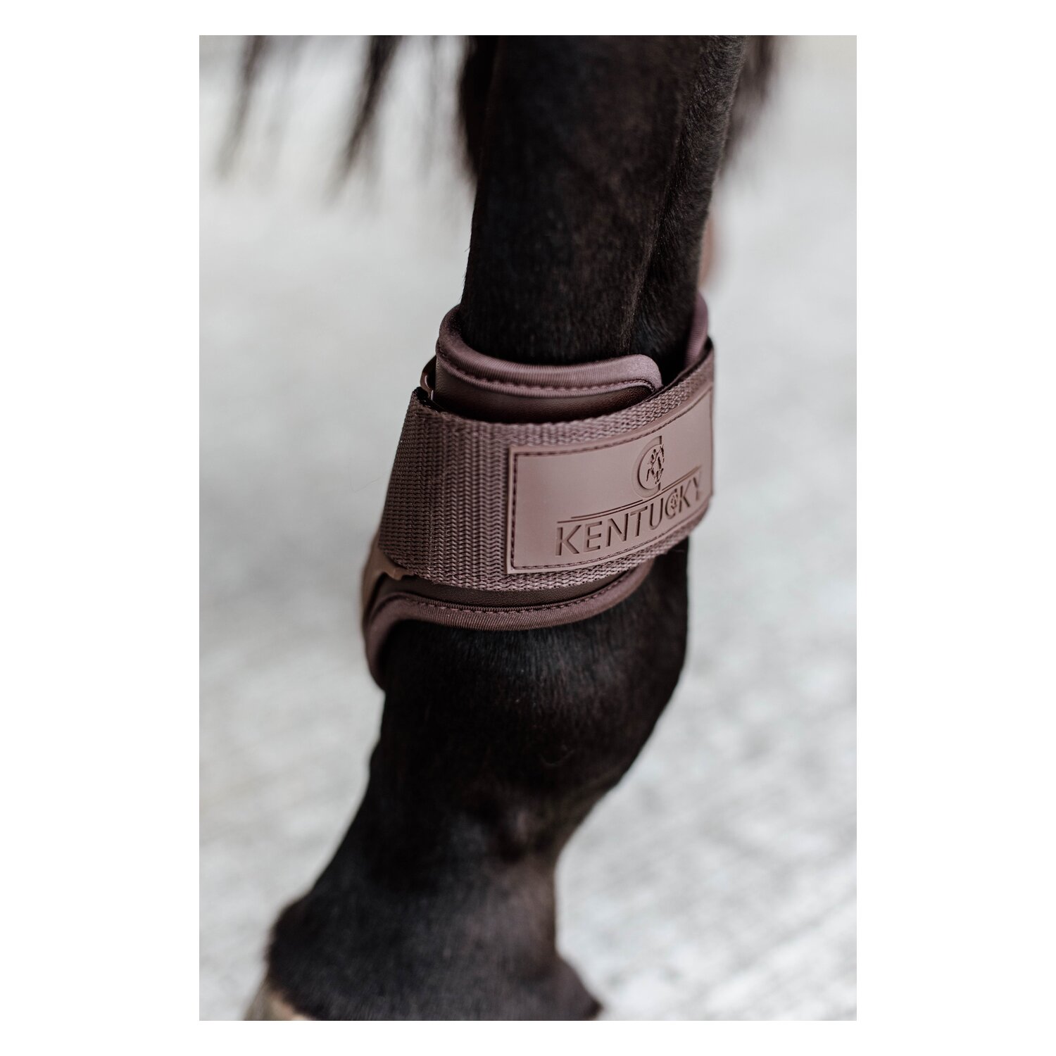 KENTUCKY Fesselkopfgamaschen Young Horse - brown