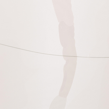 Sealskin douchegordijn earth 180x200cm donker roze/wit
