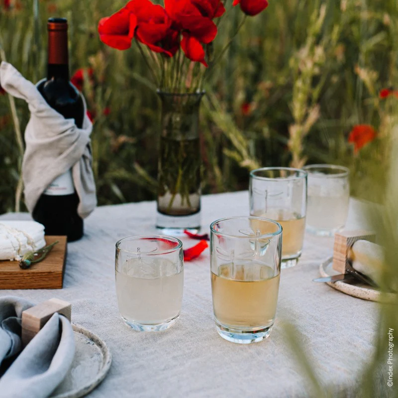 Lot de 6 long drinks, LIBELLULES La Rochère