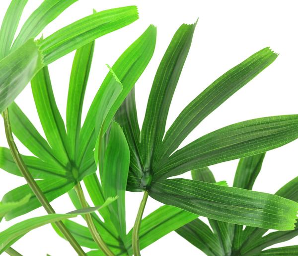 I.GE.A. Kunstpflanze Palme Rhapis im Topf, ca.