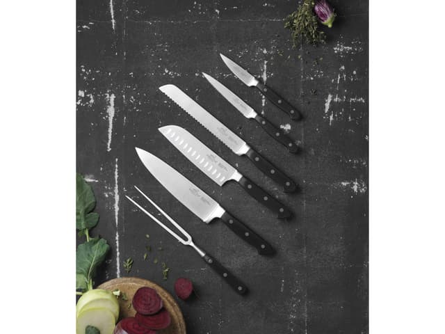 Lion Sabatier International Knivsæt Steel/Black