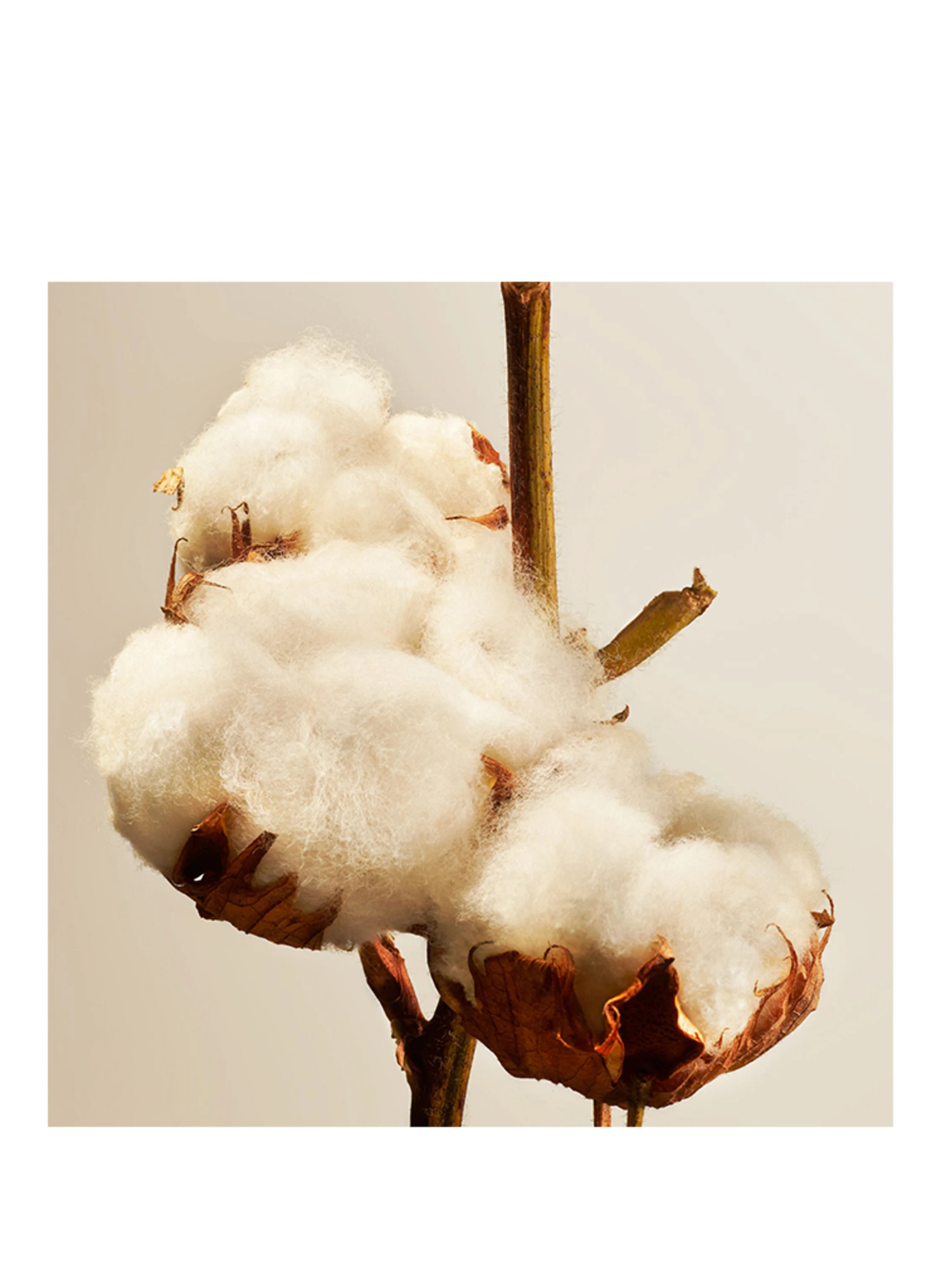 RITUALS COTTON BLOSSOM