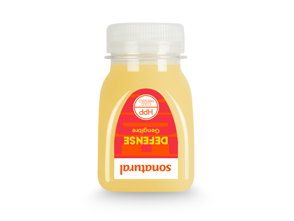 SUMO SONATURAL SHOT GENGIBRE 125ML