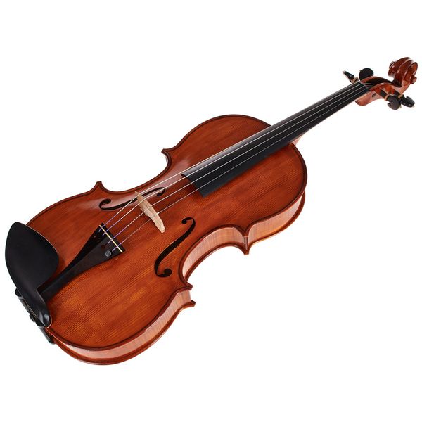 Luca Zerilli Viola Guarneri Trieste 15,5