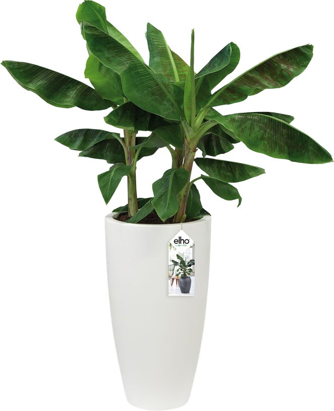Elho bloempot Pure wit D 39 H 70,1 cm