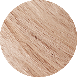 Tints of Nature 8C Ash Blonde 1ST