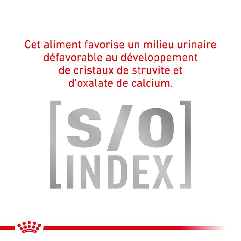 Royal Canin Veterinary Mobility