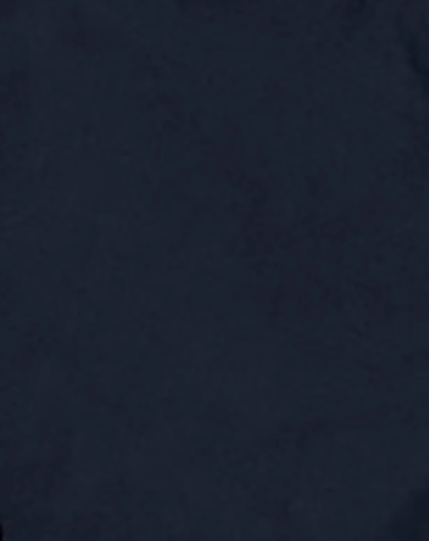 Cargo-Shorts NMMRYAN TWIATILIP in dark sapphire