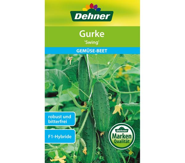 Dehner Samen Gurke 'Swing'