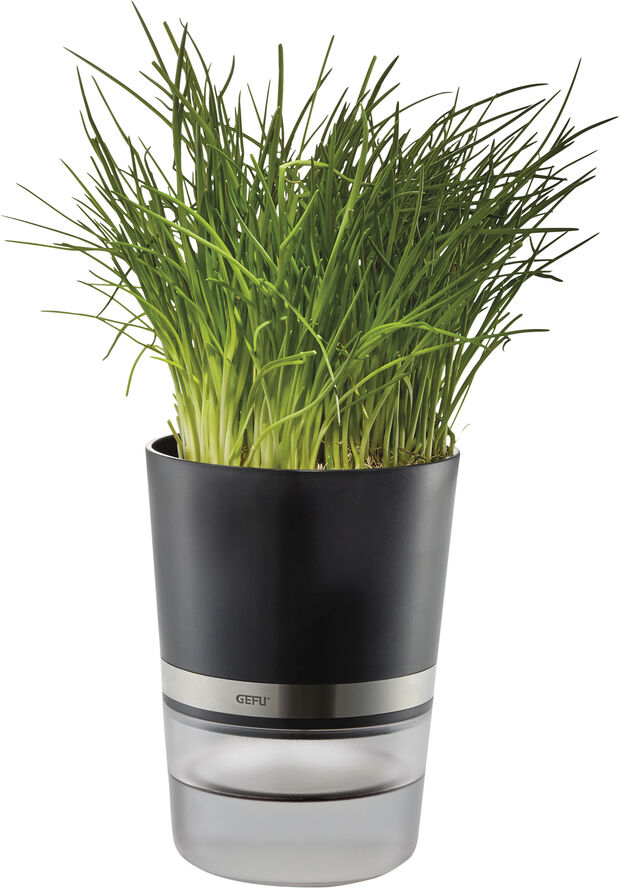 Gefu Krydderurtepotte, BOTANICO Sort