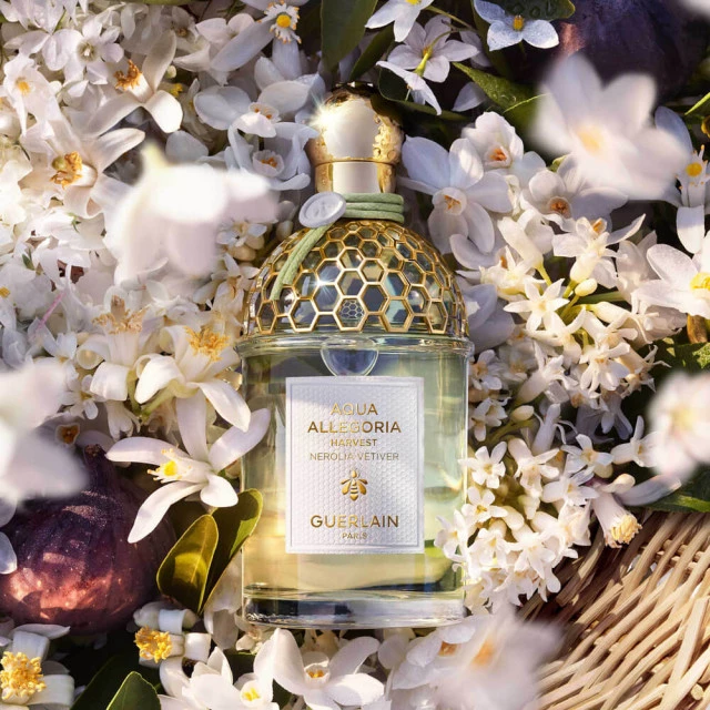 Aqua Allegoria Harvest Nerolia Vetiver GUERLAIN