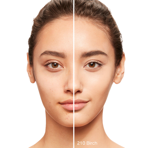Shiseido Synchro Skin Self-Refreshing Foundation, 210