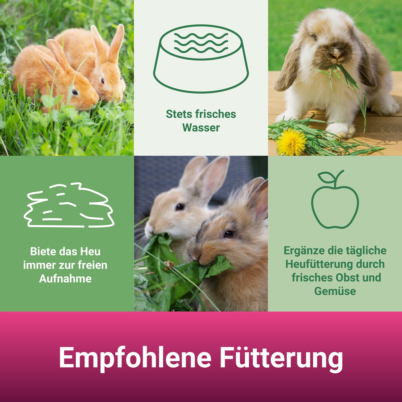 Panto ® BLÜTENWIESE