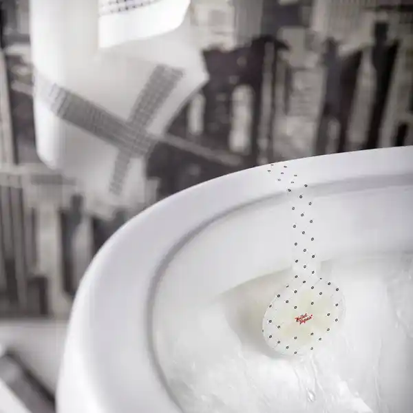 ECO Toilet Block Peppermint Passion
