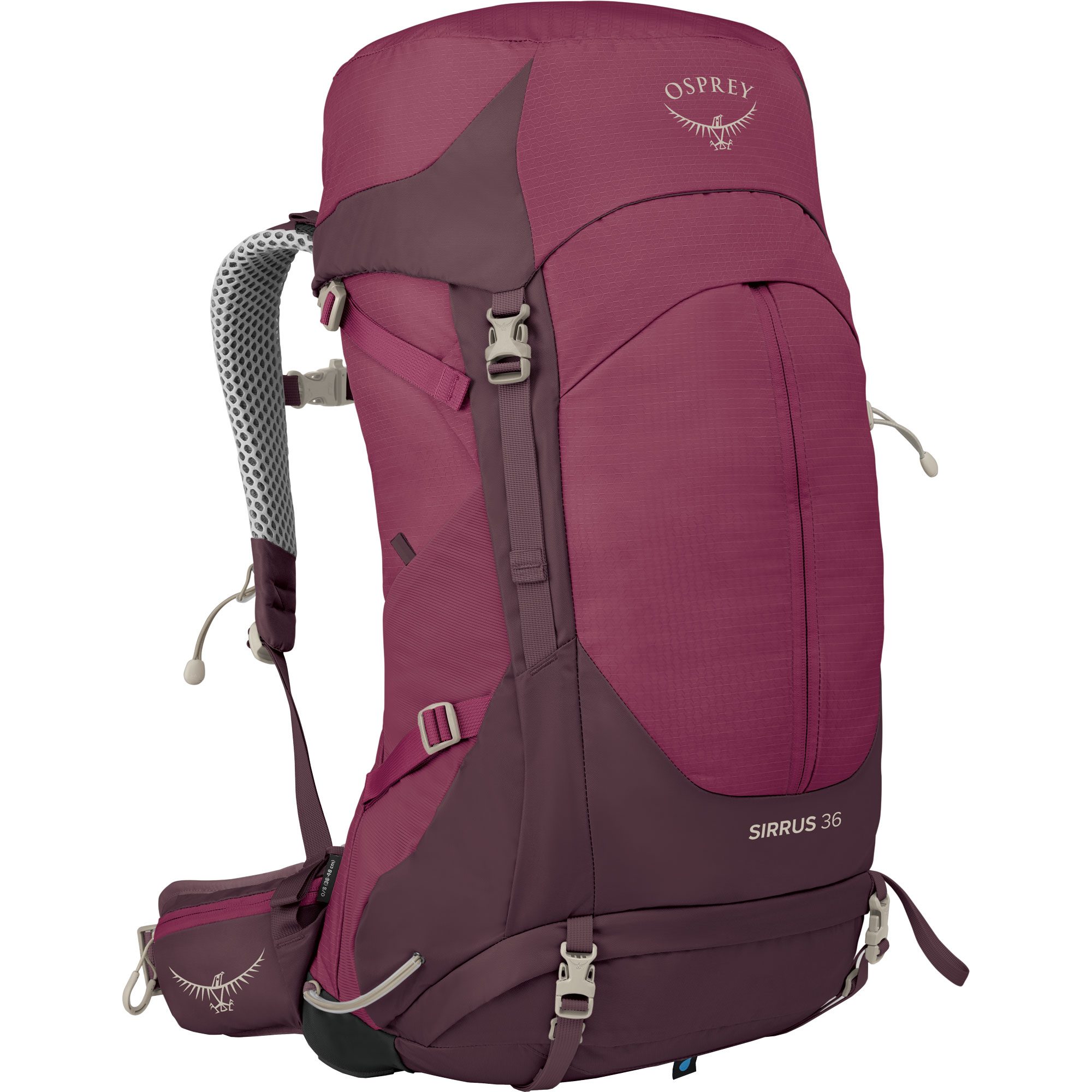 Osprey Sirrus™ 36l Trekkingrucksack Damen elderberry purple