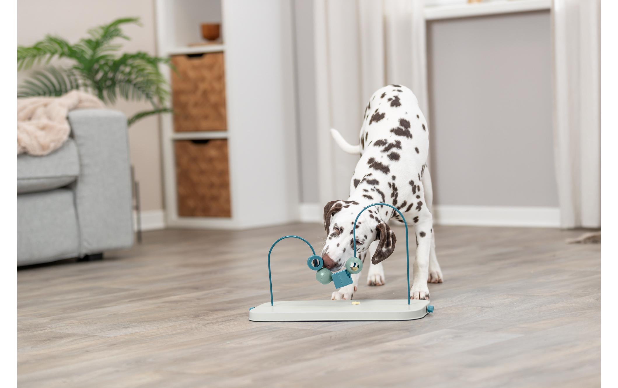 Dog Activity Skills LoopHunde Spielzeug