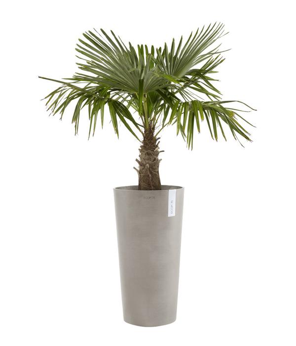 Ecopots Kunststoff-Topf Amsterdam hoch, rund