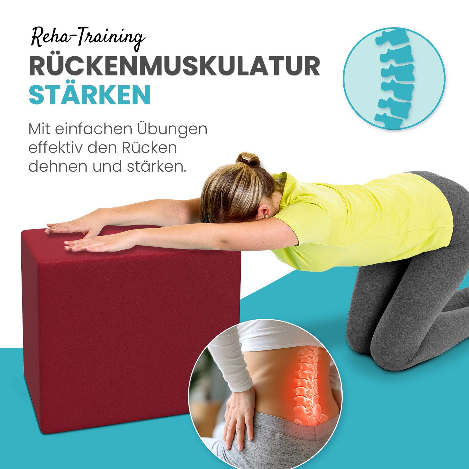 aktivshop Bandscheibenwürfel