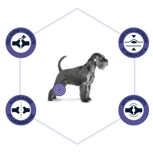 Croquettes Advance Veterinary Diets Articular Reduced Calories pour chiens