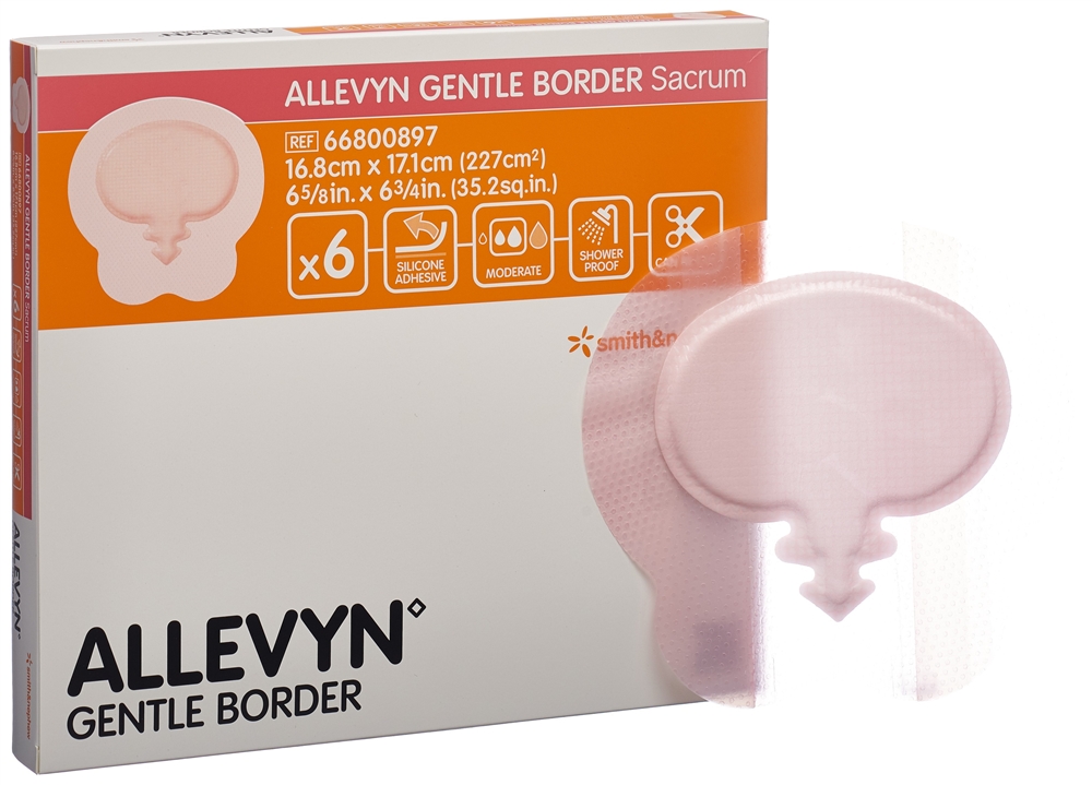 ALLEVYN 16.8x17.1cm 6 Stk