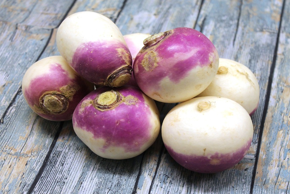 Bio - chou-rave - violet de vienne - 600 graines - avec substrat - brassica rapa