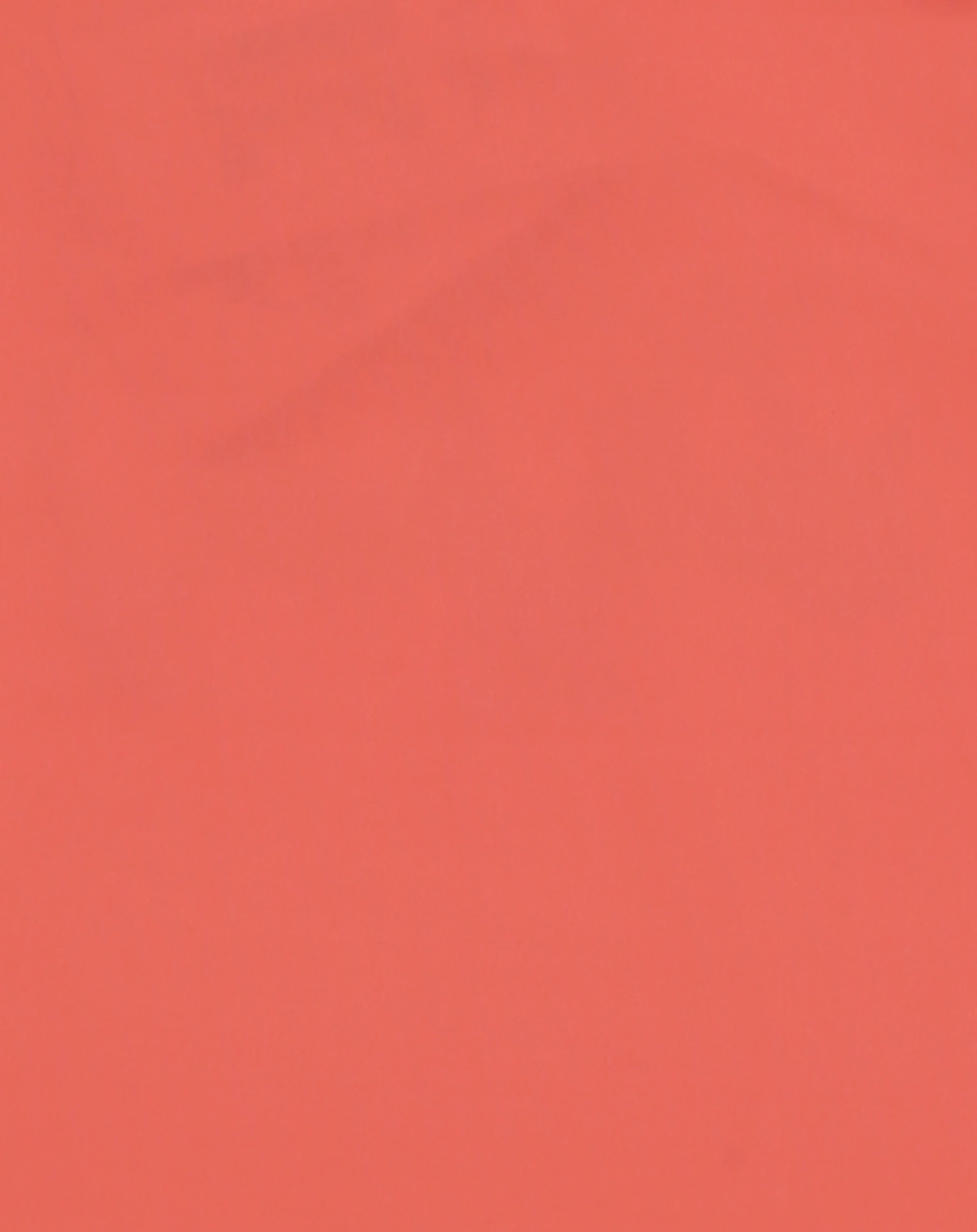Schwimmshirt NASHORN in orange county
