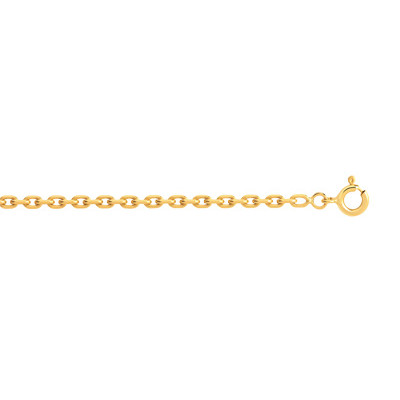 Chaîne or 750 jaune maille forçat 45 cm
