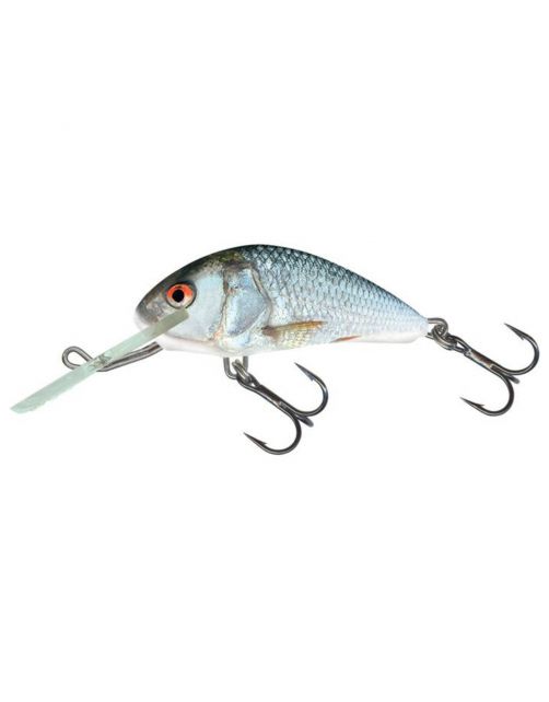 Salmo Hornet Flo - Plug - 5 cm Real Dace