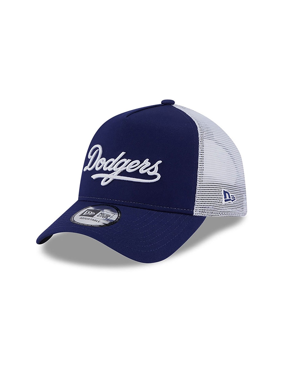 new era team script trucker losdod drywhi